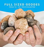 Nat Geo's Break Your own Geode Kit 4